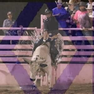 Meet your Posher, Jesse